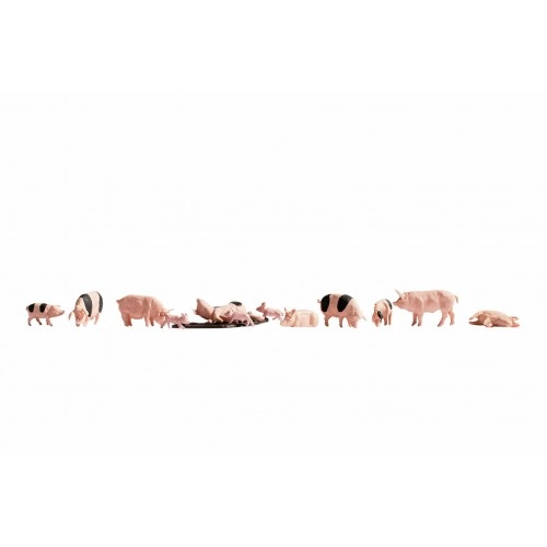 Pigs - 9 pigs and 3 piglets H0 /1:87/