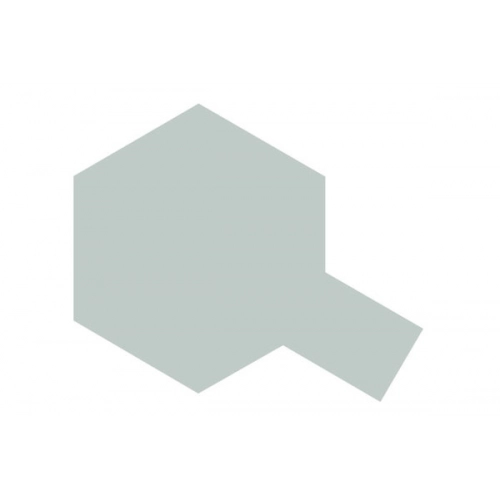 TS-81 Royal Light Gray, gloss - Spray Paint (100 ml)