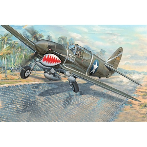 1:32 American Fighter-Bomber P-40F War Hawk 1:32