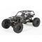 Masina Axial Jeep Wrangler Wraith-Poison 1:10 4WD ARTR cu Telecomanda