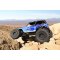 Masina Axial Jeep Wrangler Wraith-Poison 1:10 4WD ARTR cu Telecomanda
