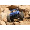 Masina Axial Jeep Wrangler Wraith-Poison 1:10 4WD ARTR cu Telecomanda